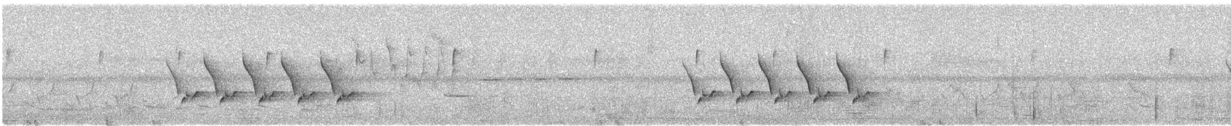 Каролинский крапивник - ML617215229