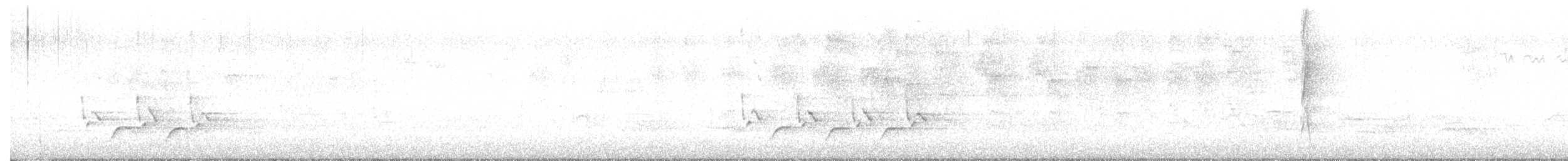 Каролинский крапивник - ML617215240