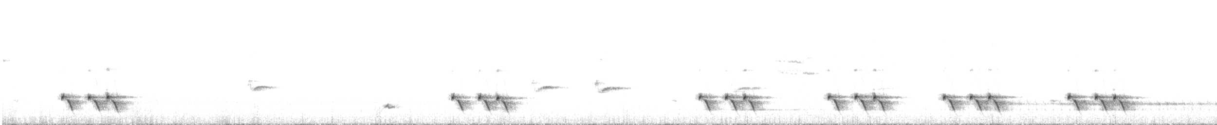 Çizgili Panterkuşu - ML617220026