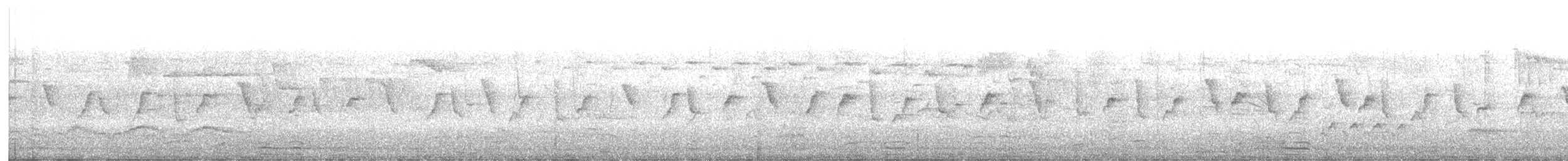 gransanger (tristis) (sibirgransanger) - ML617220114