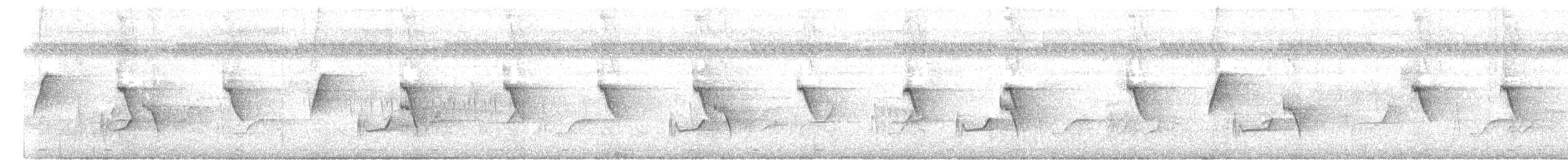 Коричневогорлая нектарница - ML617220291