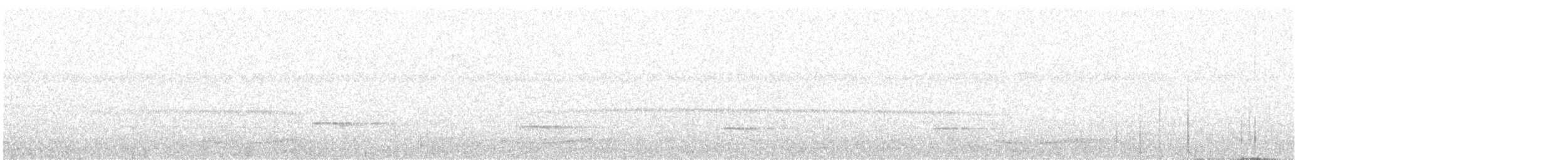 Silky-tailed Nightjar - ML617223486