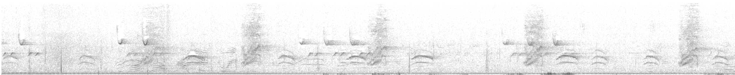 Weißbrustkleiber (aculeata/alexandrae) - ML617227288