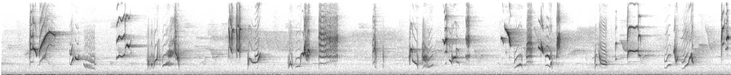 Miaulari grisa - ML617241427