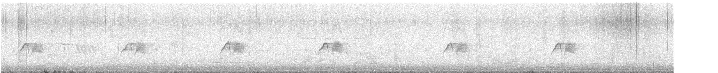 Светлобрюхий фиби - ML617241966