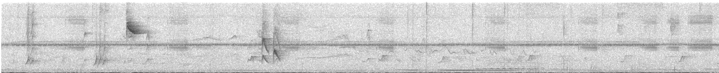 Mouse-colored Tyrannulet (Southern) - ML617242330