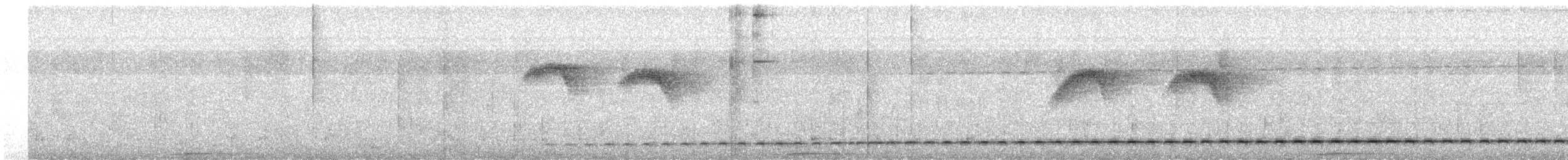 Tétéma festonné - ML617249164