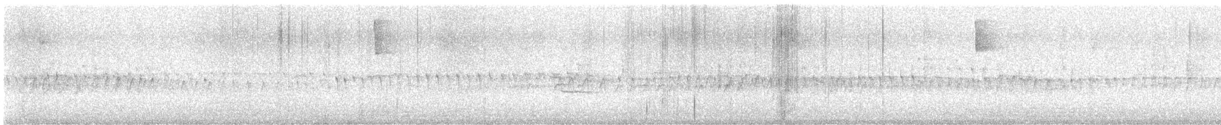 シロハラアマツバメ - ML617249760