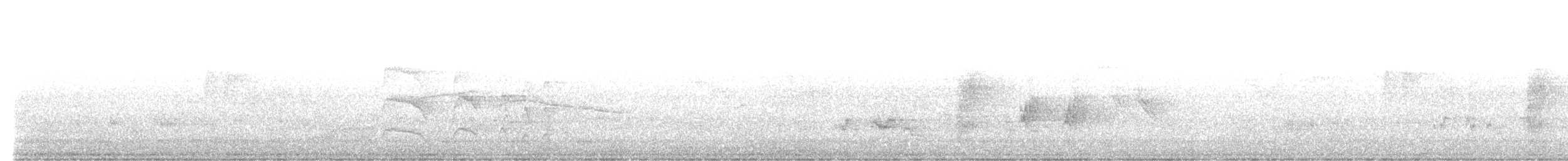 דרונגו עשנוני (לבן-לחי) - ML617251532
