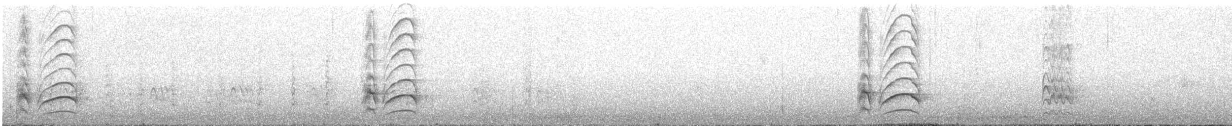 Büyük Kiskadi Tiranı - ML617251749