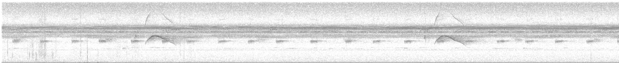 White-tailed Nightjar - ML617252453