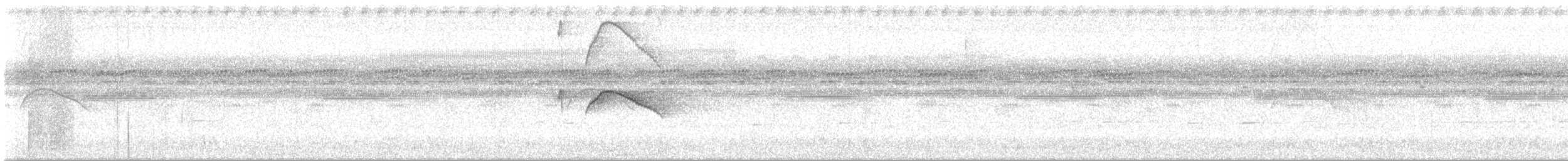 Weißschwanz-Nachtschwalbe - ML617252454