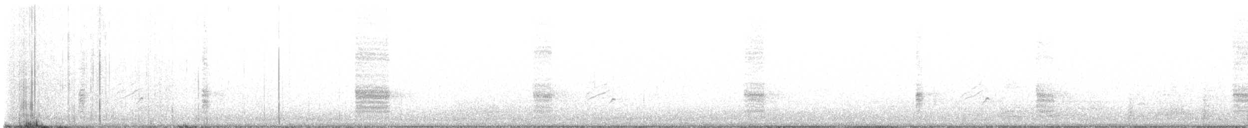 Common Grackle - ML617252906