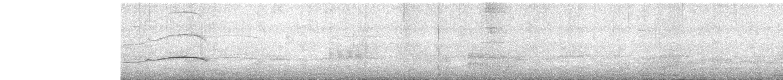 ヒメクロアジサシ - ML617254638