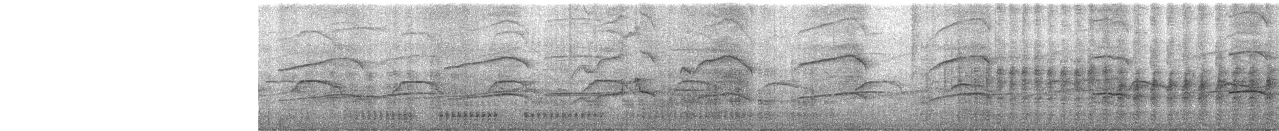 ヒメクロアジサシ - ML617254644