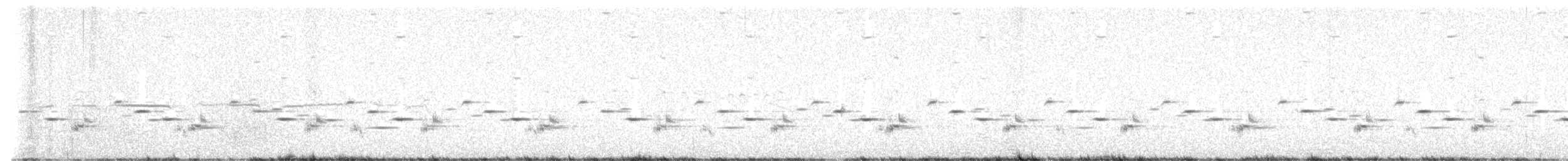 Psophode carillonneur - ML617255153