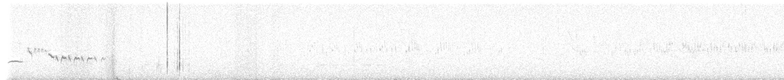 Білолобик чорносмугий - ML617256063