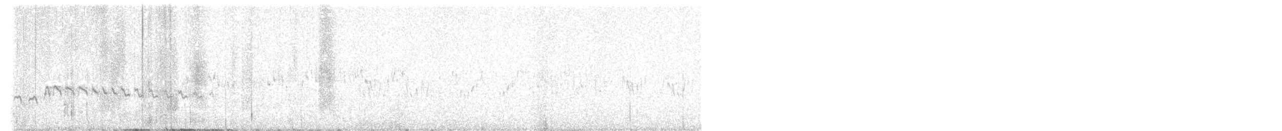 Білолобик чорносмугий - ML617256065