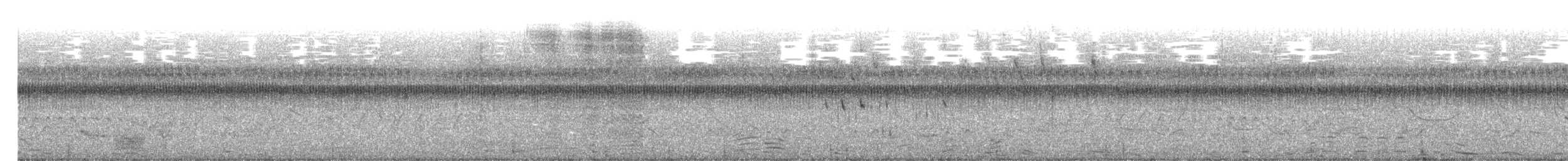 Fan-tailed Widowbird - ML617256466