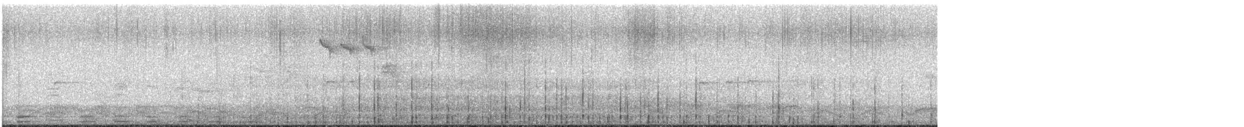 黃嘴天鵝 - ML617257163