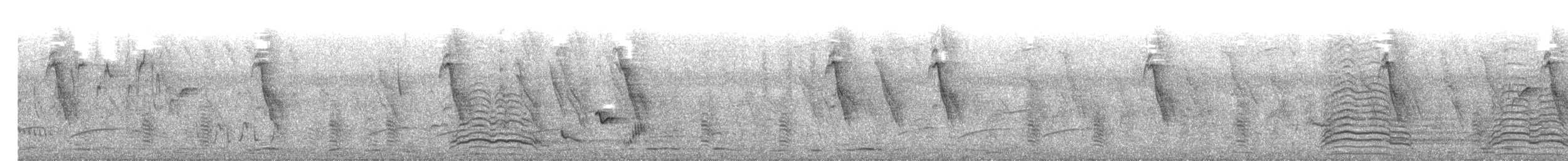 svarthodevever - ML617257360