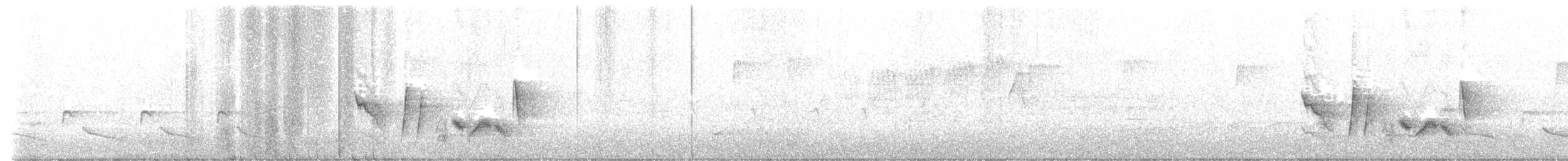 Weißaugenvireo [griseus-Gruppe] - ML617261262