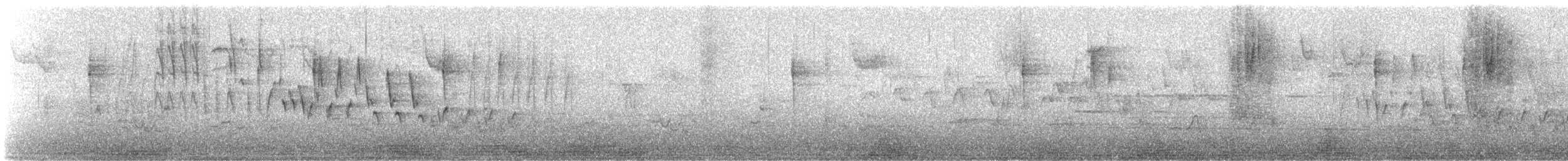 Northern House Wren (Northern) - ML617262525