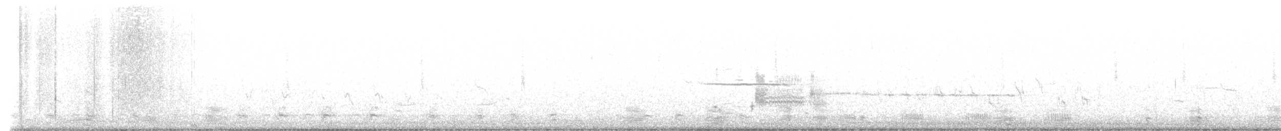 Белогорлая зонотрихия - ML617262855