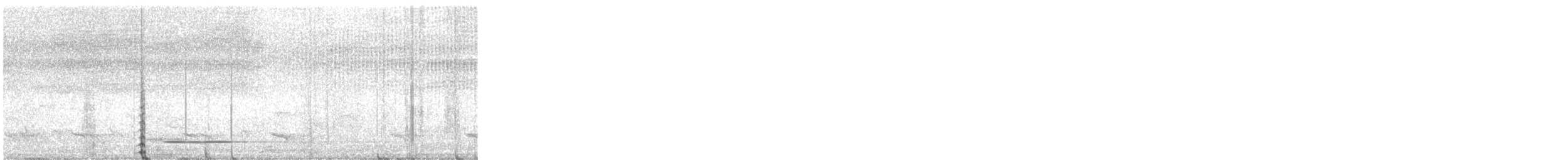 Thicket Tinamou - ML617262935
