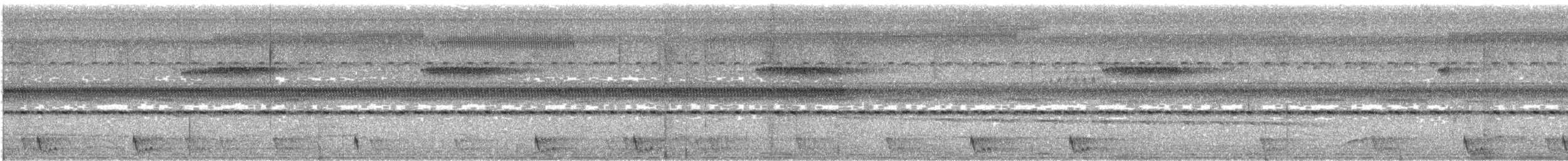 Large-tailed Nightjar - ML617264191