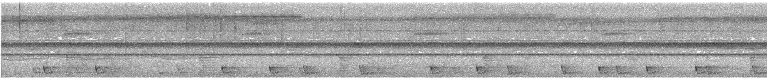 Large-tailed Nightjar - ML617264193