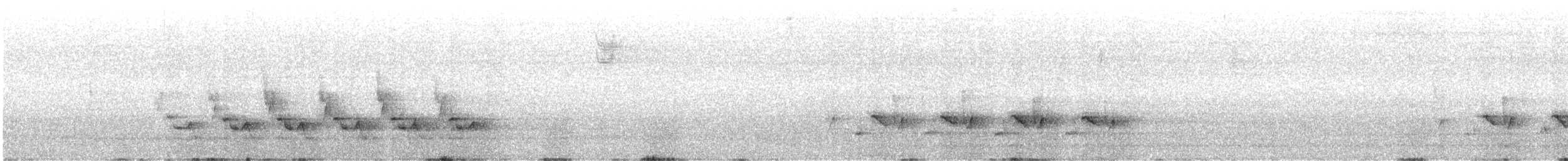 Поплітник каролінський - ML617266704