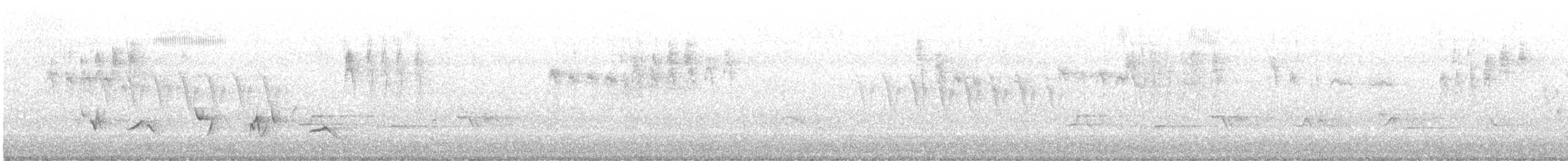 Черноголовый толстонос - ML617267160