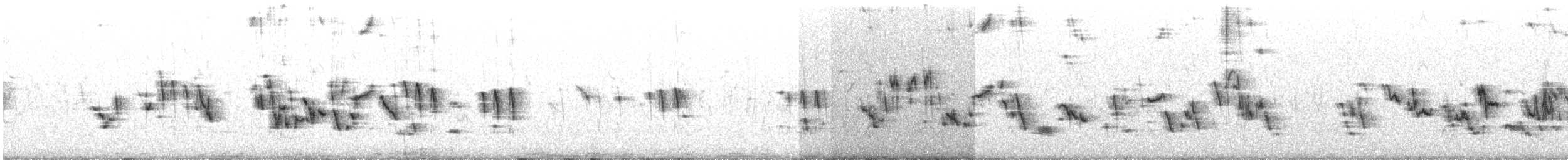 Plectrophane à ventre gris - ML617269874