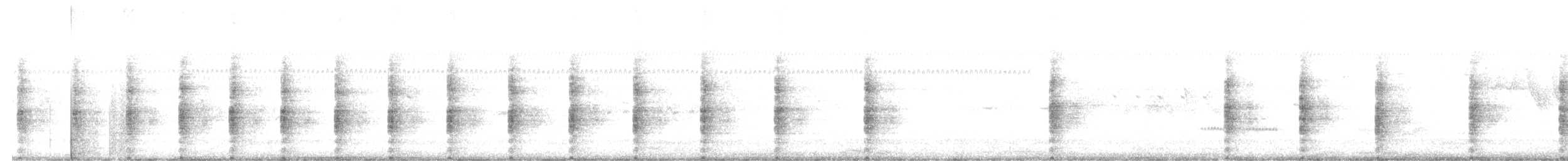 Rascón de Ridgway (yumanensis) - ML617271293