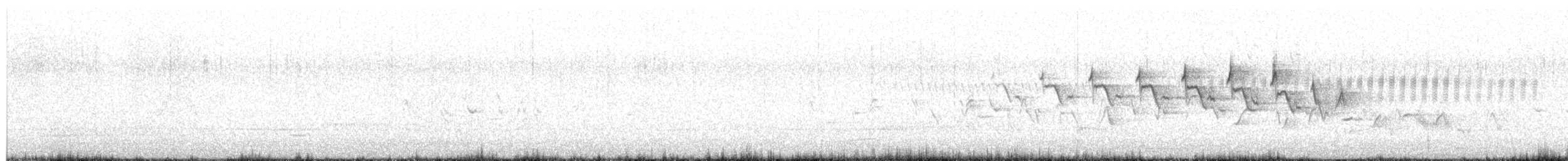 Yellow-throated Warbler - ML617273443