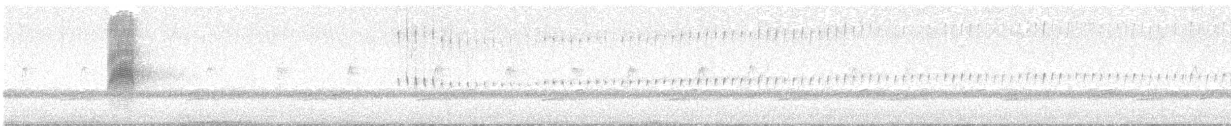 American Woodcock - ML617273715