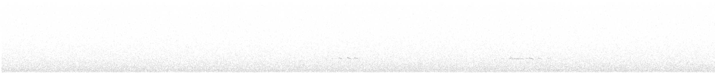 Sürmeli Kervançulluğu (phaeopus) - ML617274335
