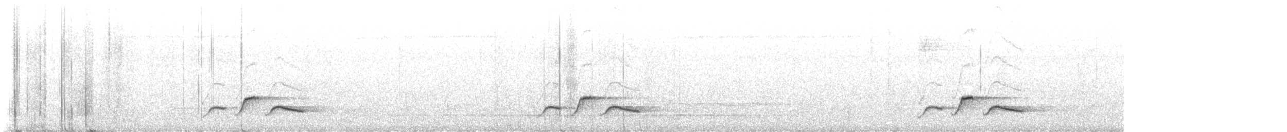 Белогрудый крапивник (pittieri/costaricensis) - ML617275304
