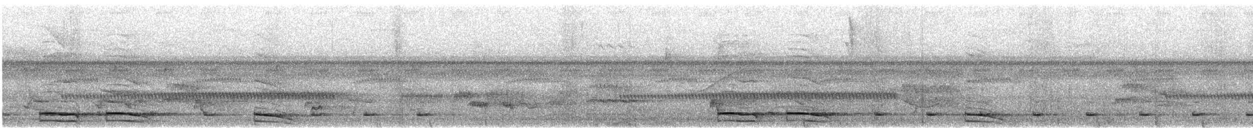 Buckley's Forest-Falcon - ML617276142