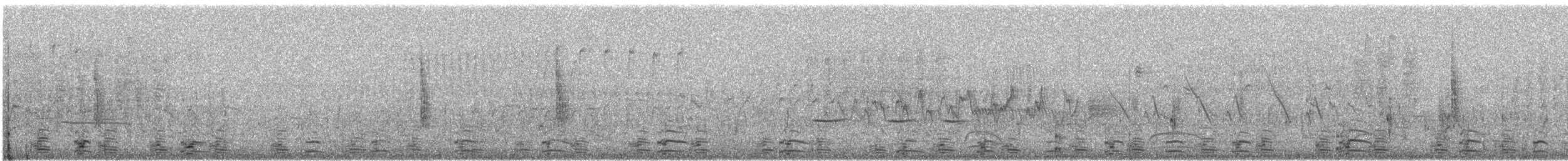 Büyük Yerkoşarı - ML617281544