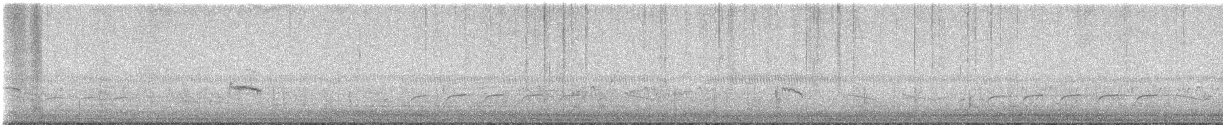 Bécasseau variable - ML617283796