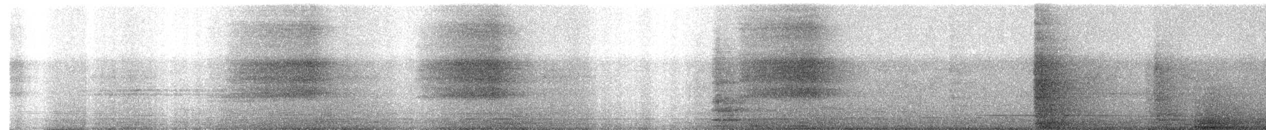 Eastern Barn Owl - ML617284631