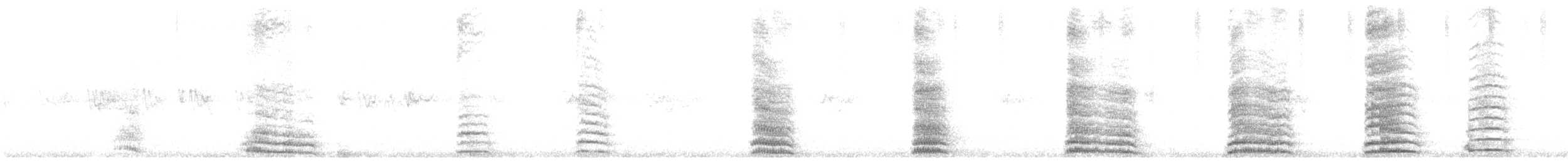 Flötenkrähenstar (dorsalis) - ML617288738