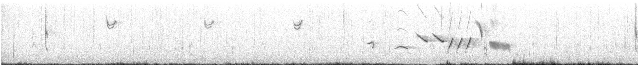 ゴマフスズメ（schistacea グループ） - ML617288919