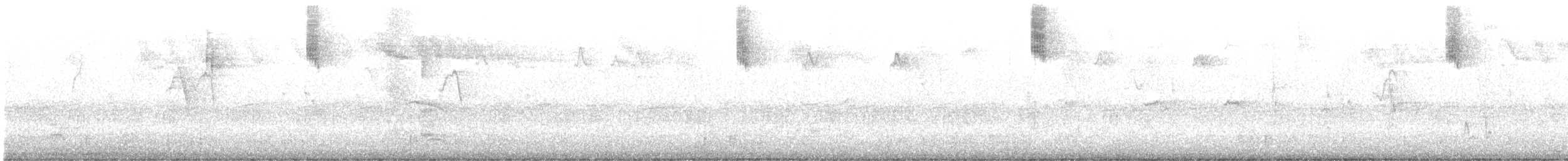 Southern Emuwren - ML617289748