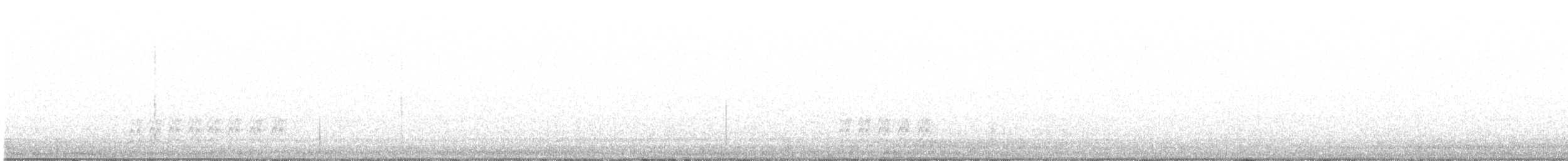 Weißbrustkleiber - ML617292173
