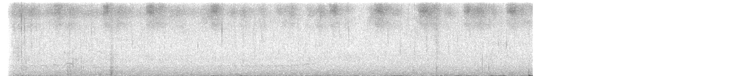Black-crowned Antshrike - ML617292452