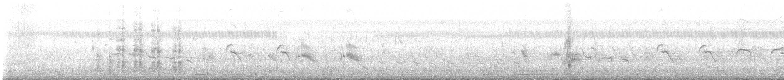 Capucin à tête noire - ML617293801