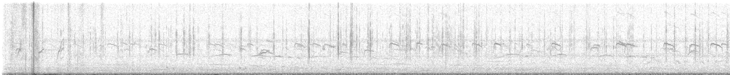 White-nest Swiftlet (White-nest) - ML617294043